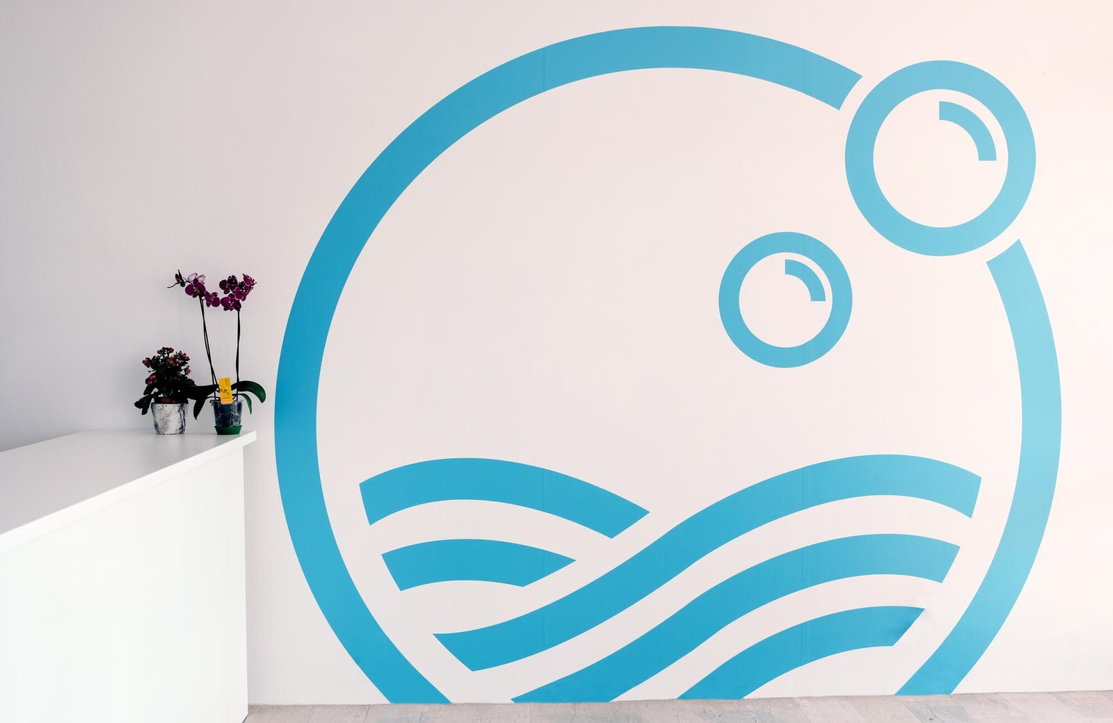 Immagine per 'Lavanderia Sabrina' - Fivesix Studio. Specializzati in Branding, Personal Branding, Marketing e Comunicazione.