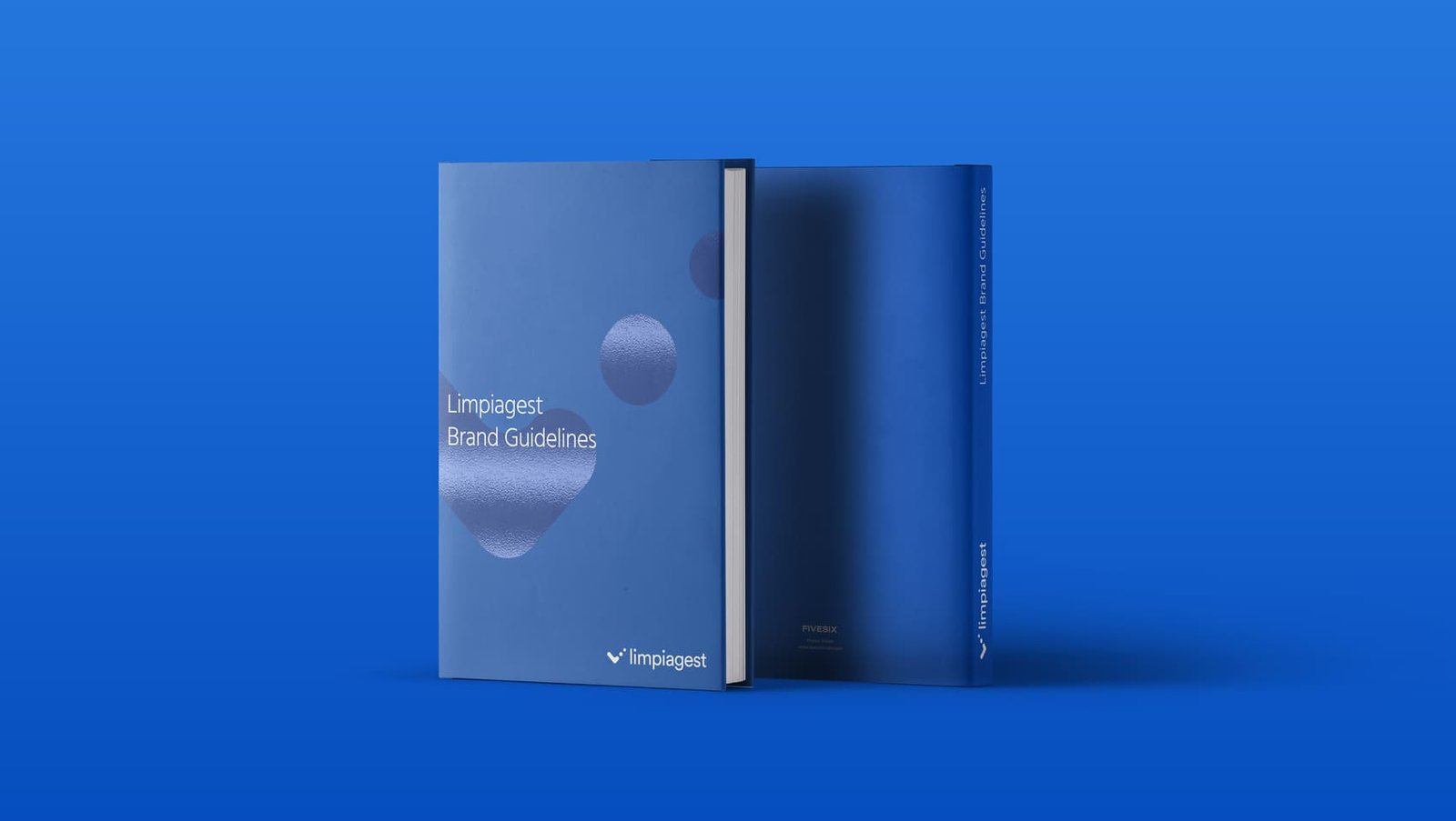 Immagine per 'Limpiagest' - Fivesix Studio. Specializzati in Branding, Personal Branding, Marketing e Comunicazione.