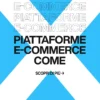 Immagine per 'Stan.store e Oltre: Piattaforme Innovative per un E-commerce su Misura per freelance' - Fivesix Studio. Specializzati in Branding, Personal Branding, Marketing e Comunicazione.